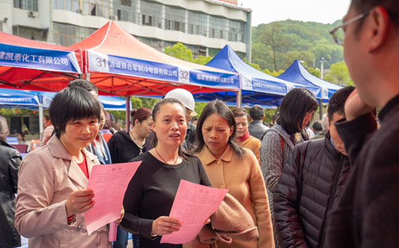浦城縣招聘網(wǎng)最新招聘，職業(yè)發(fā)展的起點(diǎn)之門(mén)