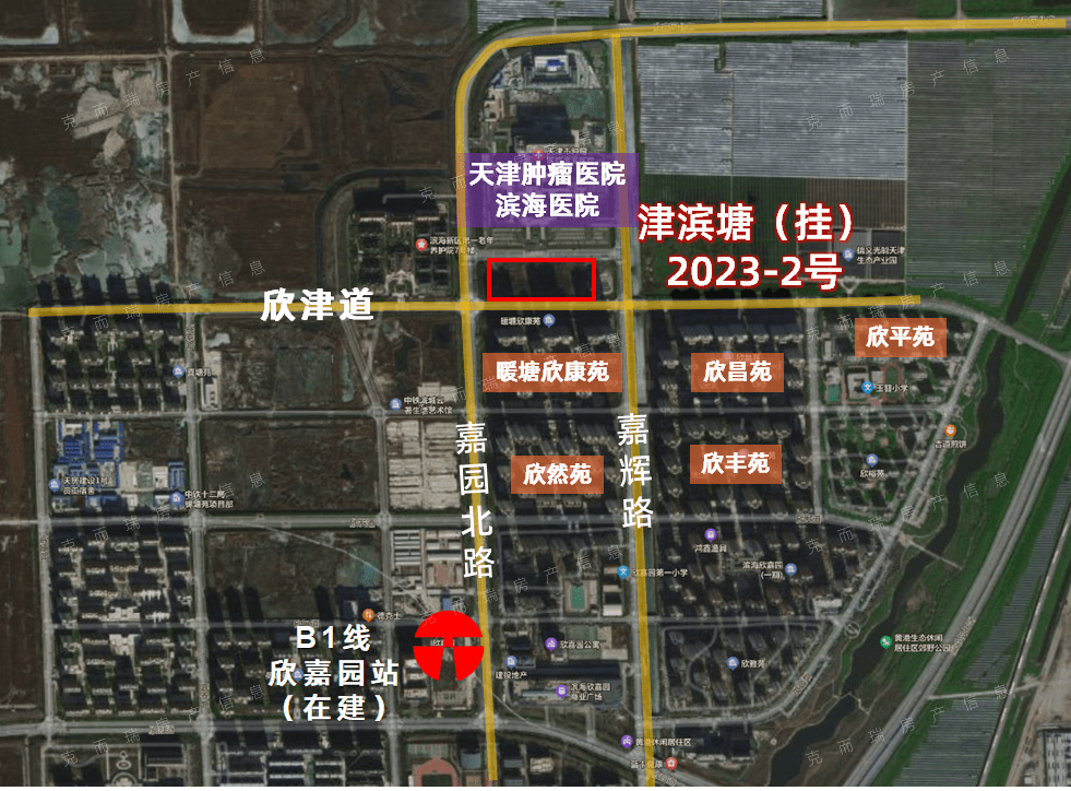 獨(dú)流津?yàn)臣覉@最新動(dòng)態(tài)，科技前沿重塑生活體驗(yàn)