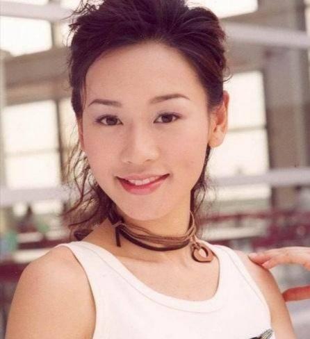 楊思琦與鄭源最新動態(tài)曝光，獨家消息全解析???