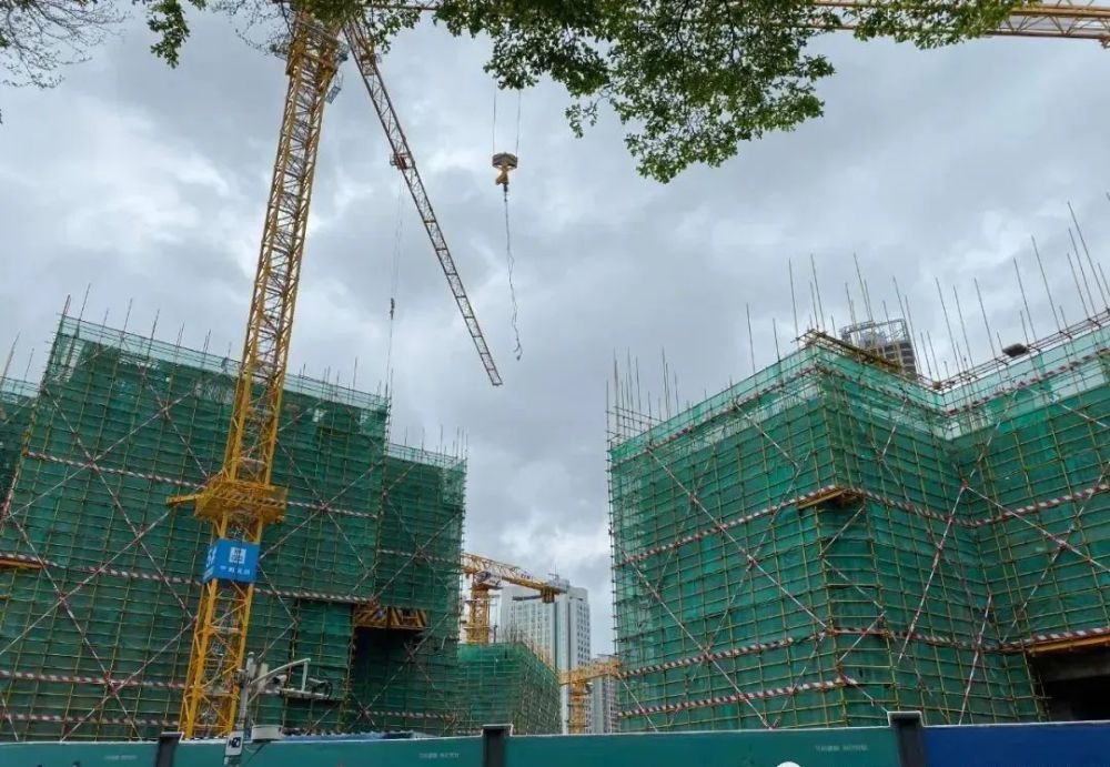 湖貝舊改最新進(jìn)展更新，最新動(dòng)態(tài)揭秘