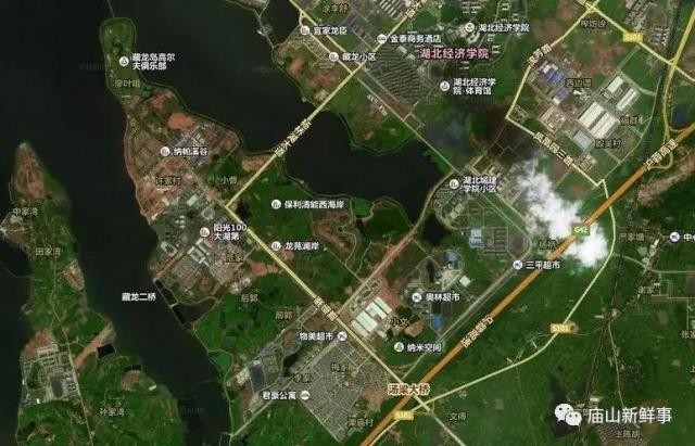 藏龍島二小最新動態(tài)揭秘，小巷特色小店探秘之旅