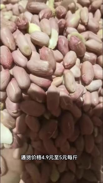 帶殼花生最新批發(fā)價(jià)格，變化中學(xué)習(xí)，成就自信與夢想之路