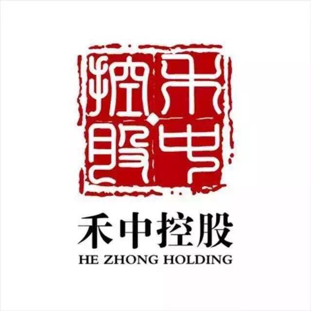 禾中控股集團(tuán)最新消息概覽，權(quán)威指南發(fā)布
