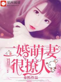 二婚萌妻最新章節(jié)列表及小巷中的秘密花園