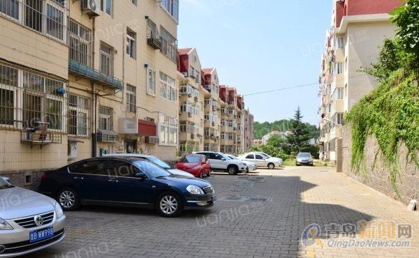 寧國房屋出租最新動態(tài)更新，最新房源信息速遞