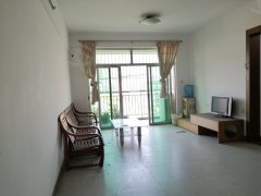 順德北滘最新二手房市場深度解析，全面觀點(diǎn)分析