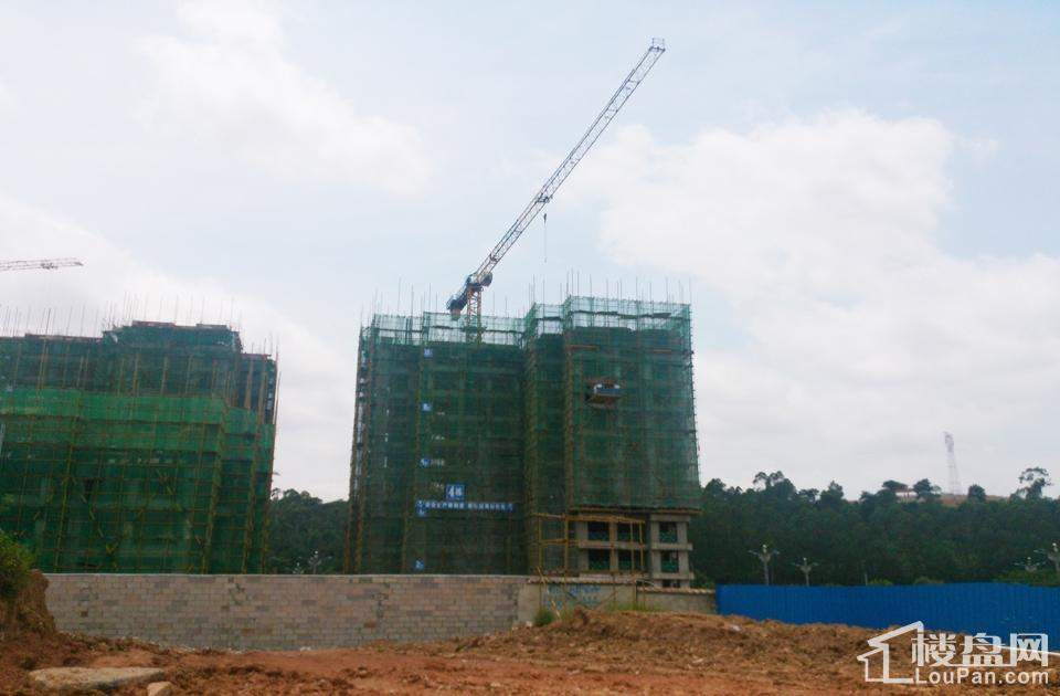 漢軍五象一號(hào)科技引領(lǐng)未來(lái)，最新動(dòng)態(tài)揭秘生活重塑之力