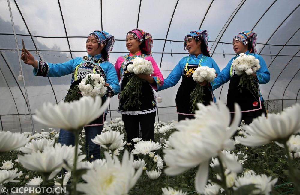黔西縣鐘山鎮(zhèn)最新動態(tài)，溫馨日常的點滴記錄