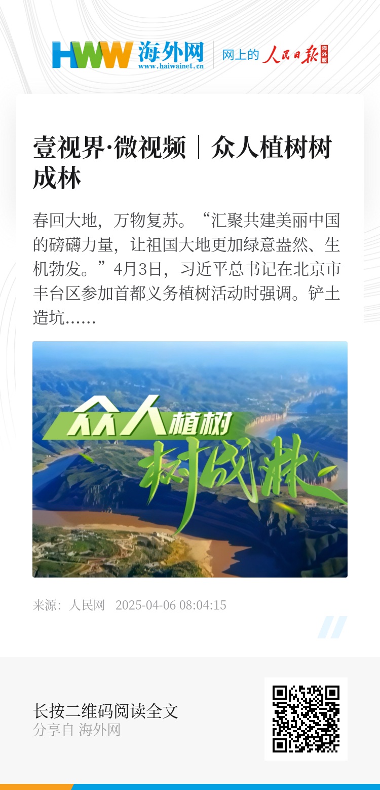 長青樹眾籌最新動態(tài)，小巷驚喜與特色小店的獨特魅力探索