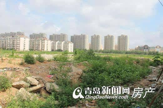 李滄楊哥莊最新動態(tài)，科技引領(lǐng)生活，智能新品體驗未來