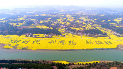 三臺縣龍樹鎮(zhèn)最新資訊更新