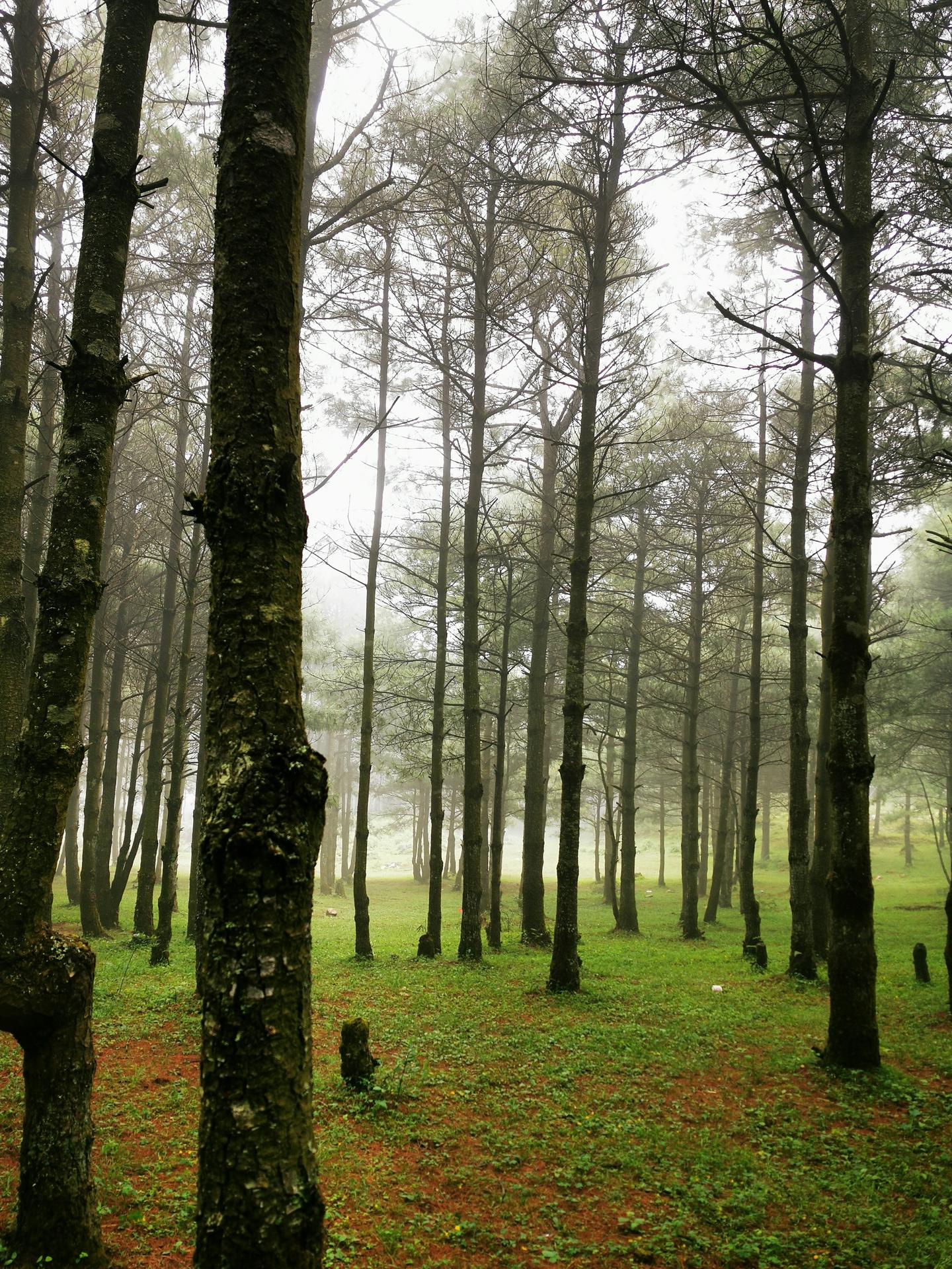 期貨世界第三部最新探索，與自然美景的邂逅與內(nèi)心平和的追尋