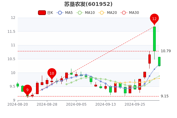 蘇墾農(nóng)發(fā)股票最新動(dòng)態(tài)與溫馨日常故事揭秘