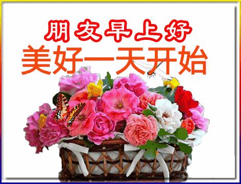 五福碰胡最新版下載，變化、學習與自信的力量之源