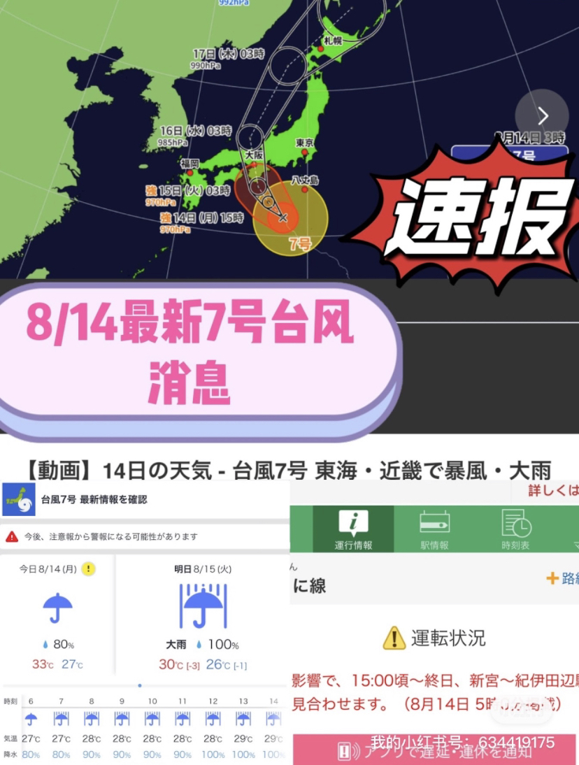 臺(tái)風(fēng)來(lái)襲，知識(shí)海洋并肩作戰(zhàn)，最新關(guān)于臺(tái)風(fēng)12號(hào)的消息報(bào)告