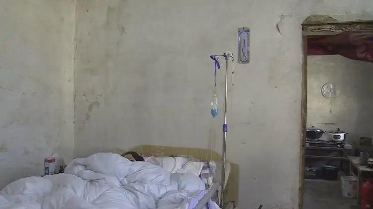 成武縣汶上鎮(zhèn)探秘，巷弄深處的獨特小店最新消息揭秘