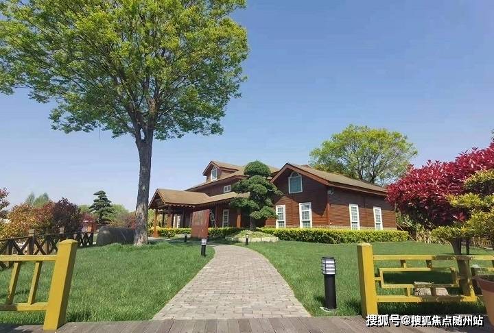 變化中的學(xué)習(xí)之旅，中澤純境最新消息與自信成就之源