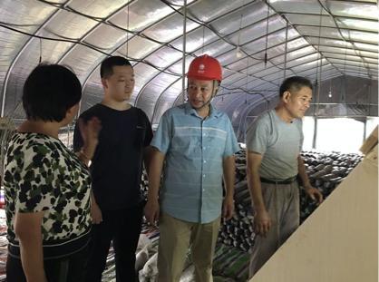 陳瑤湖汪朝龍，心靈與自然的美妙之旅最新報(bào)道