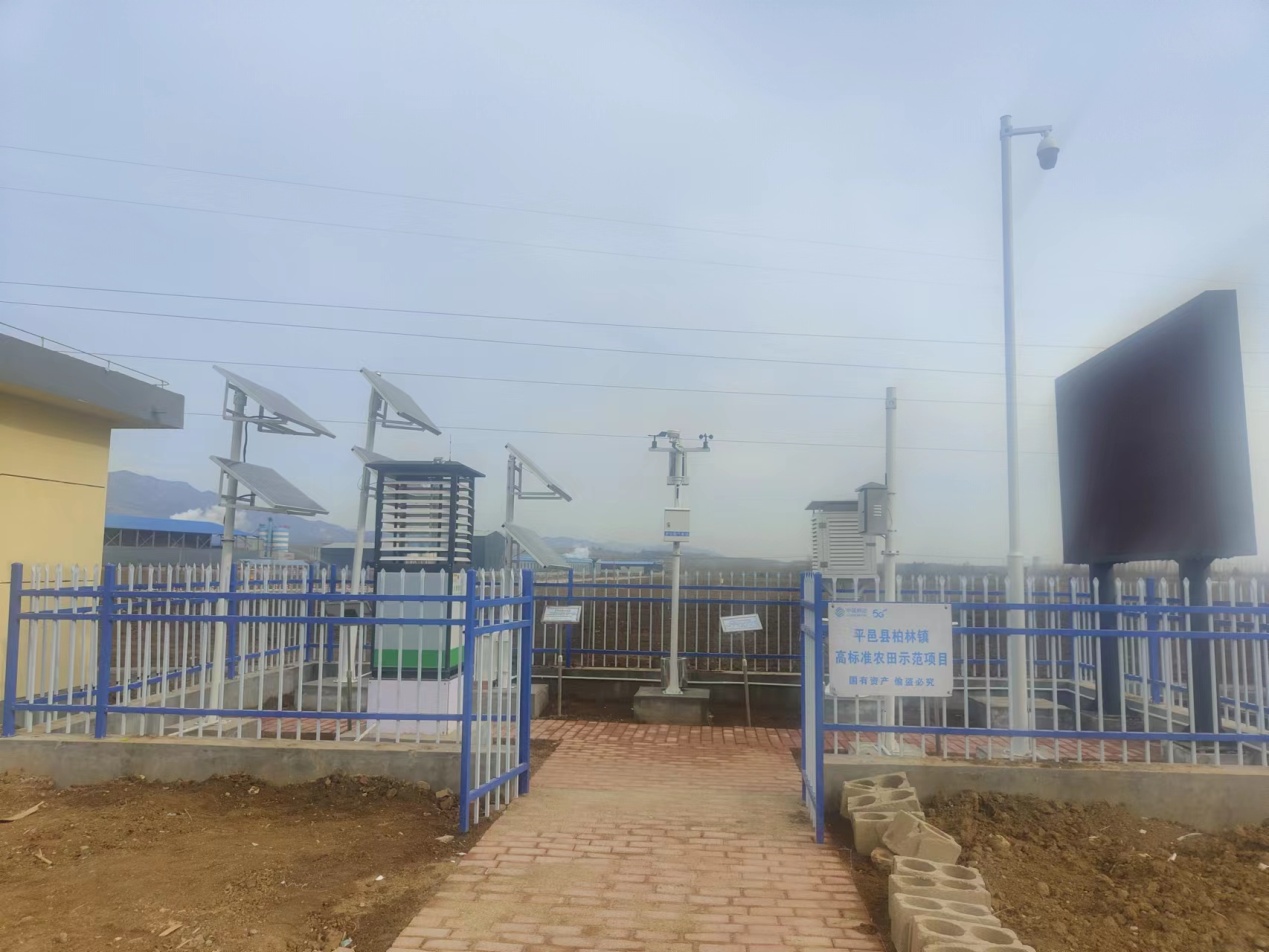 平邑縣鄉(xiāng)村豐最新動態(tài)，繁榮背后的故事揭秘