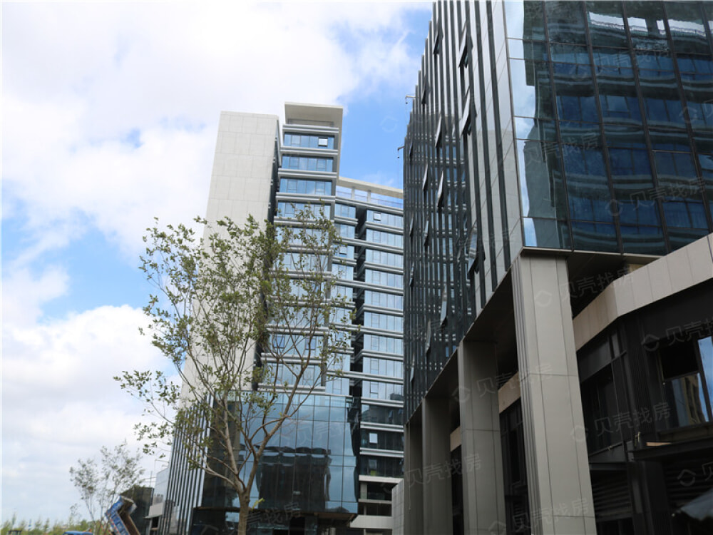 蔚藍創(chuàng)新天地最新動態(tài)揭秘，科技小子的日常趣事