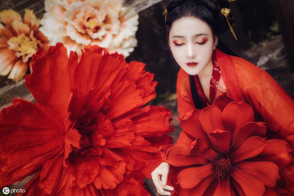 三亞海棠月色最新動態(tài)更新，最新消息匯總