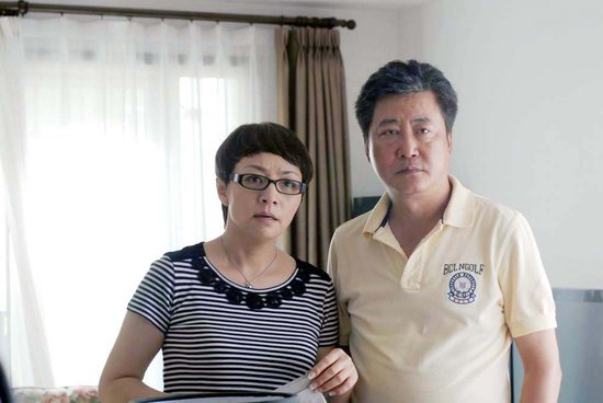 趙寶剛最新電視劇深度解析與探討，新劇探討與探討