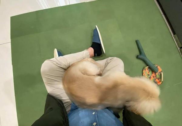 探索萌文化的魅力之旅，最新章節(jié)閱讀大全