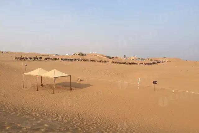 寧夏自駕游攻略大揭秘，最新攻略分享