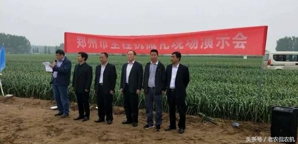 中牟大蒜最新價格揭秘，小巷深處的蒜香寶藏