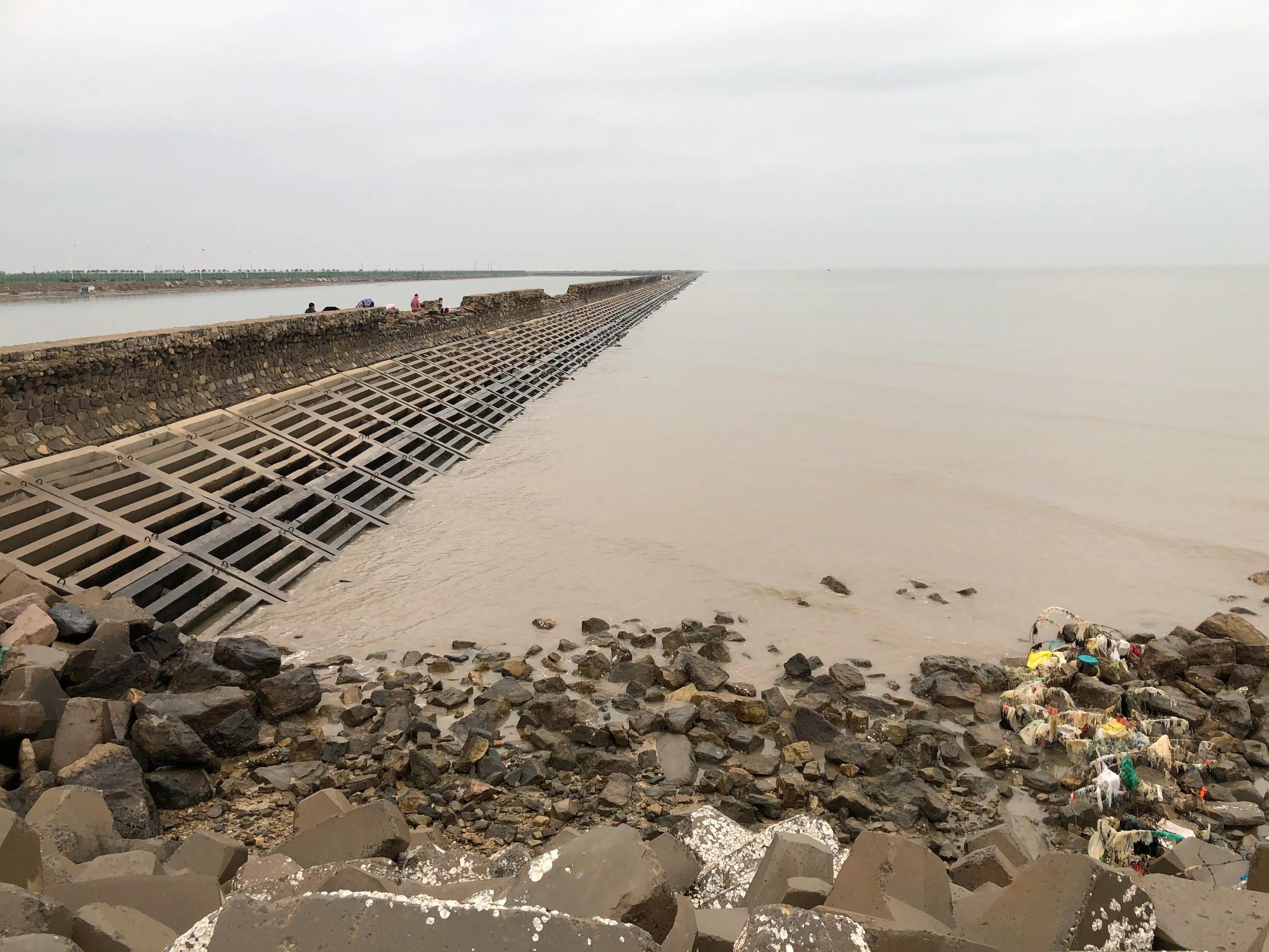 黃驊港最新招聘動(dòng)態(tài)，日常招聘故事與友情紐帶