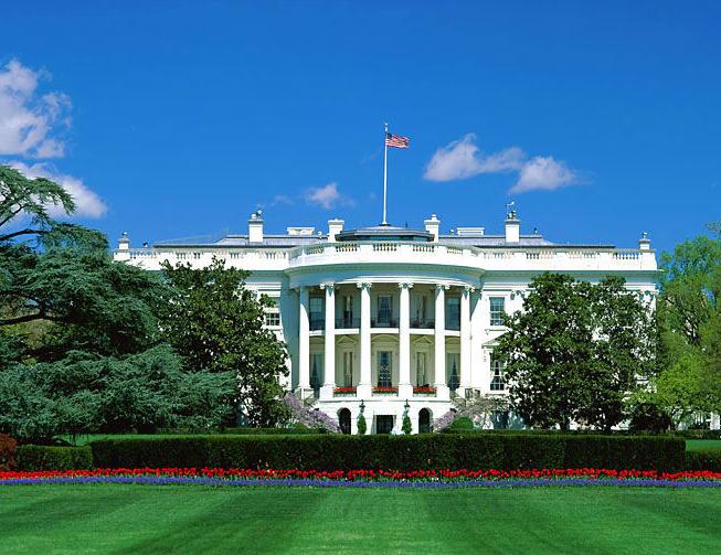 探索自然美景魅力的心靈之旅，最新紙品資訊與動(dòng)態(tài)