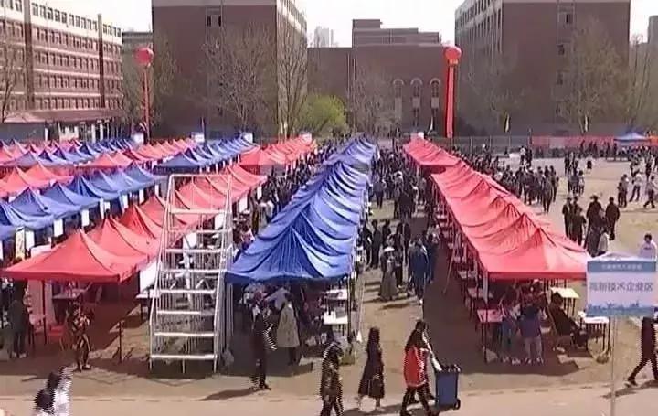 臨淄招聘最新動態(tài)，友情紐帶與家的溫馨之旅