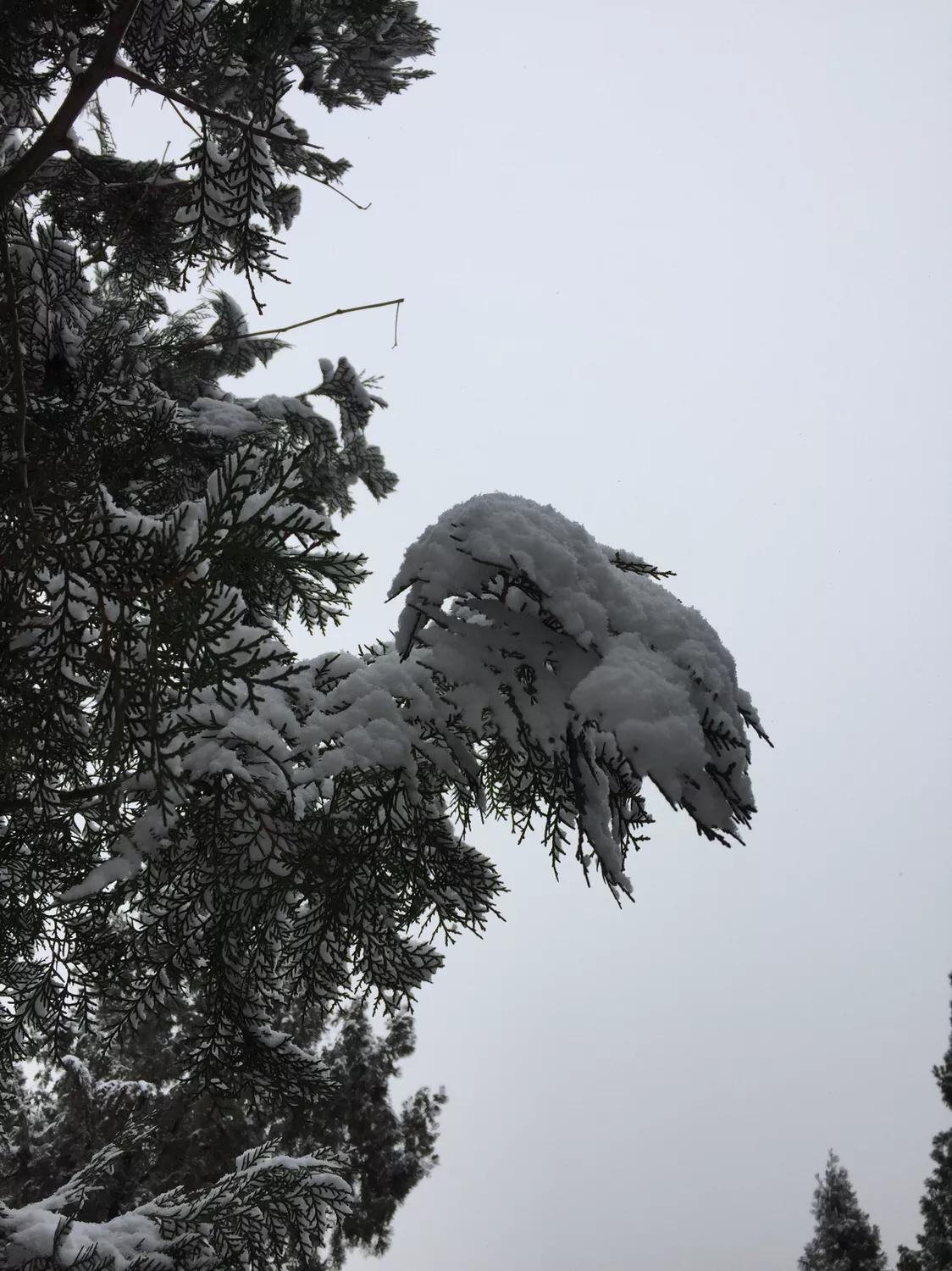 無(wú)錫馬山最新規(guī)劃揭秘，規(guī)劃下的生活日常探索