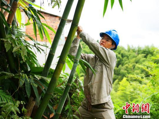 寧德臺(tái)風(fēng)最新動(dòng)態(tài)，科技智能守護(hù)安全前沿