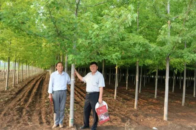 智能苗木管家，科技引領綠色新生活，最新苗木求購消息一網打盡