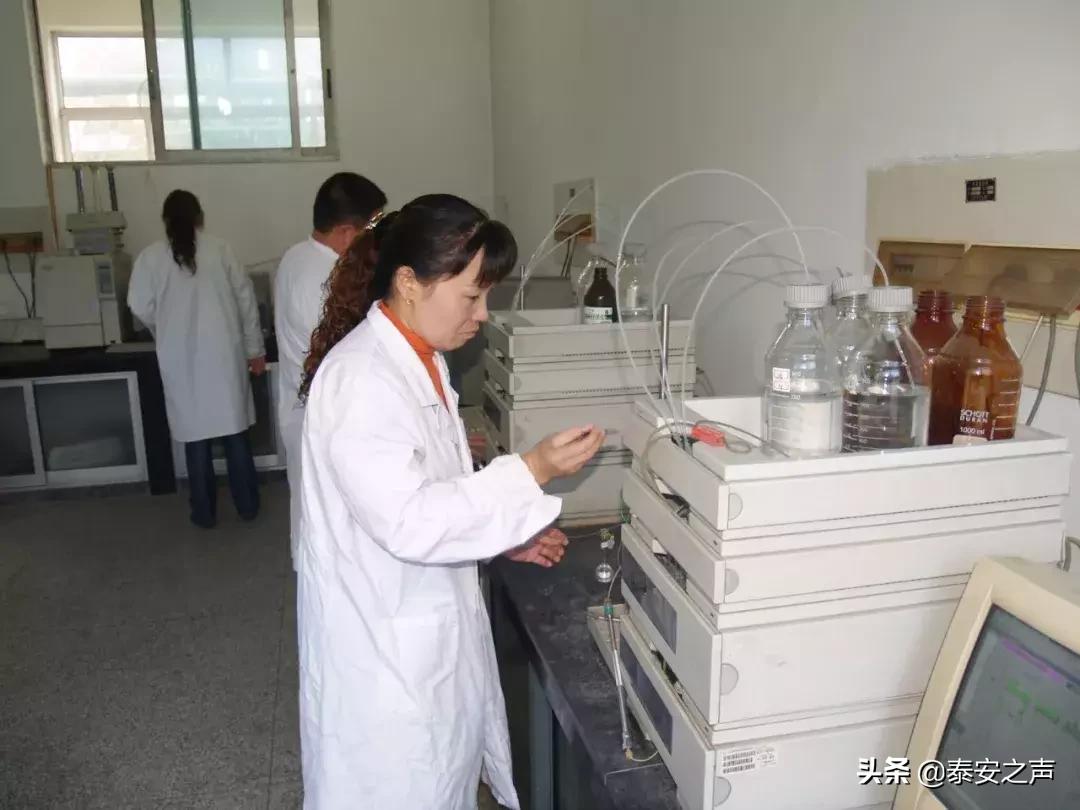 化工最新招聘，友情與夢(mèng)想的啟程之旅