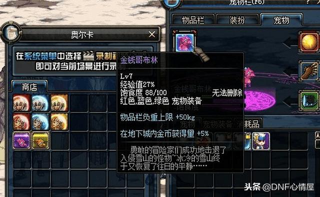 DNF最新寵物重磅上線，科技之巔，極致體驗(yàn)寵物的誕生