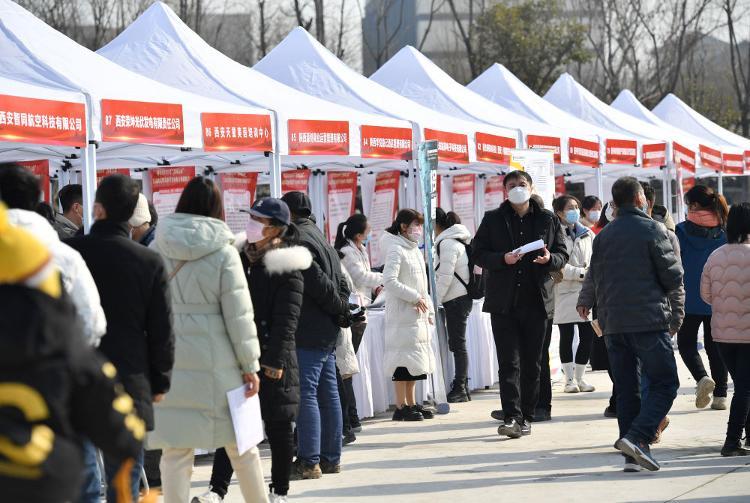 周至縣最新招聘信息揭秘，科技引領(lǐng)職場新風尚，開啟未來就業(yè)之門