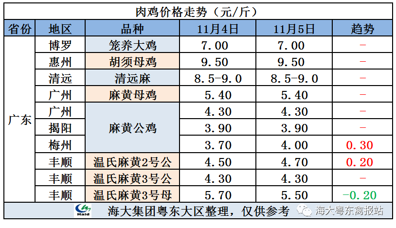 廣東雞價最新行情，心靈與自然的旅行交響曲