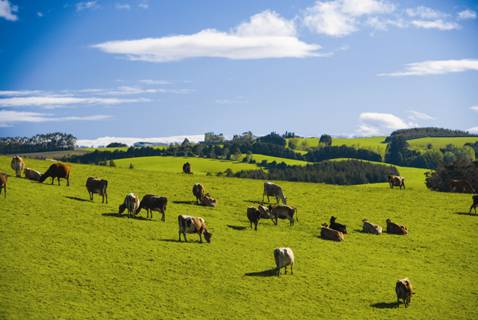 時(shí)代見證，最新牧場及其背景與重大事件概覽