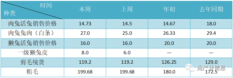 獺兔價格最新行情揭秘，溫情故事在兔子洞展開