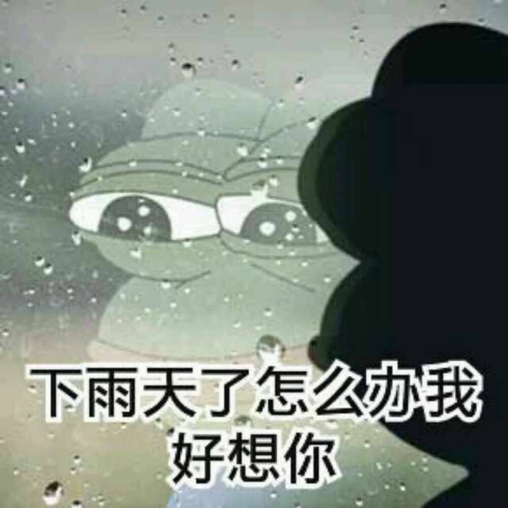 微信下雨表情包，網(wǎng)絡(luò)文化現(xiàn)象的深度探析