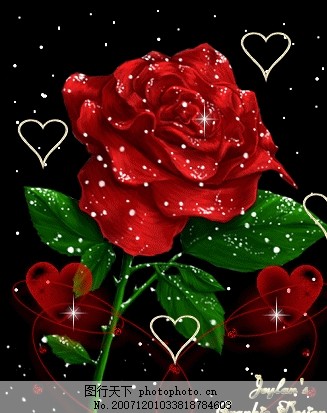 科技與藝術(shù)完美融合，最新玫瑰花閃圖欣賞