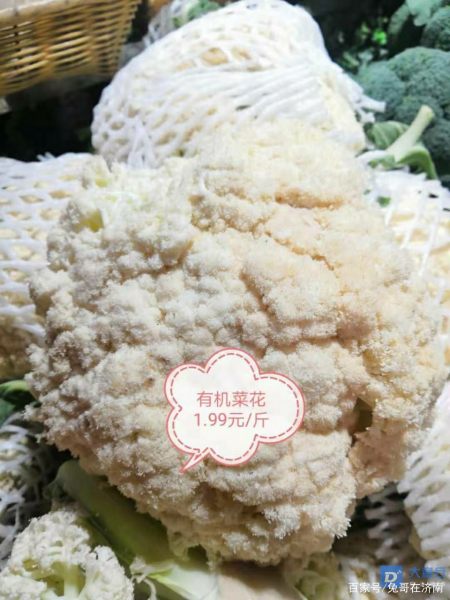 有機菜花價格最新行情，科技引領綠色生活新潮流趨勢