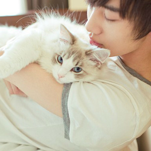 溫馨抱貓日常，最新流行情頭，感受人與貓的深情瞬間