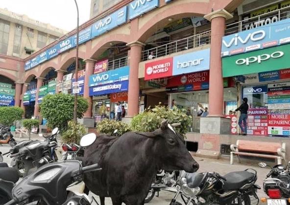 部落沖突OPPO最新版深度解析，優(yōu)劣與我的觀點(diǎn)分享