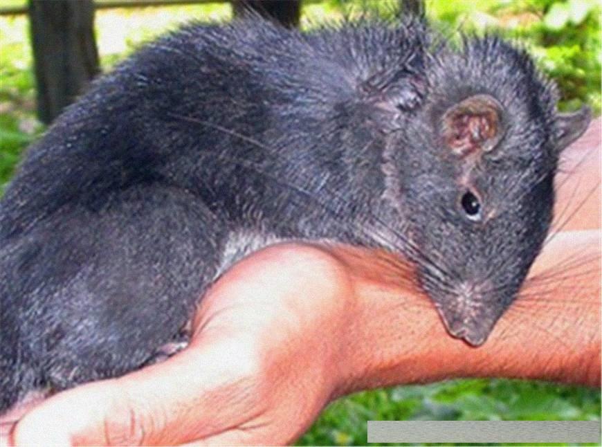 穿越火線4月探索自然美景活動(dòng)，尋找內(nèi)心的平和與寧靜之旅