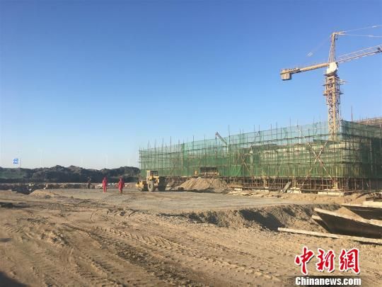 唐山豐南港最新動(dòng)態(tài)，港口邊的溫情故事