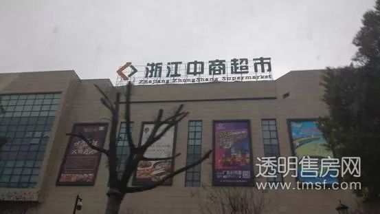 蕭山義橋最新招聘大揭秘，職位信息全面更新????