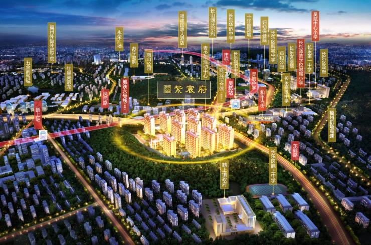 長樂游梅文最新動態(tài)，文化與自然的交融辯論盛宴